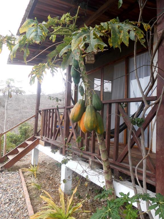 Maremonti Bed & Breakfast Пуэрто-Лопес Экстерьер фото