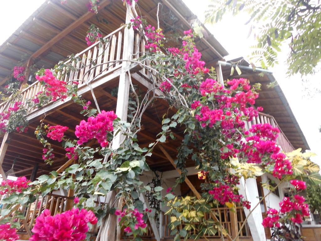 Maremonti Bed & Breakfast Пуэрто-Лопес Экстерьер фото